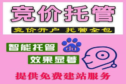 某品牌SEM广告投放的A/B测试与优化